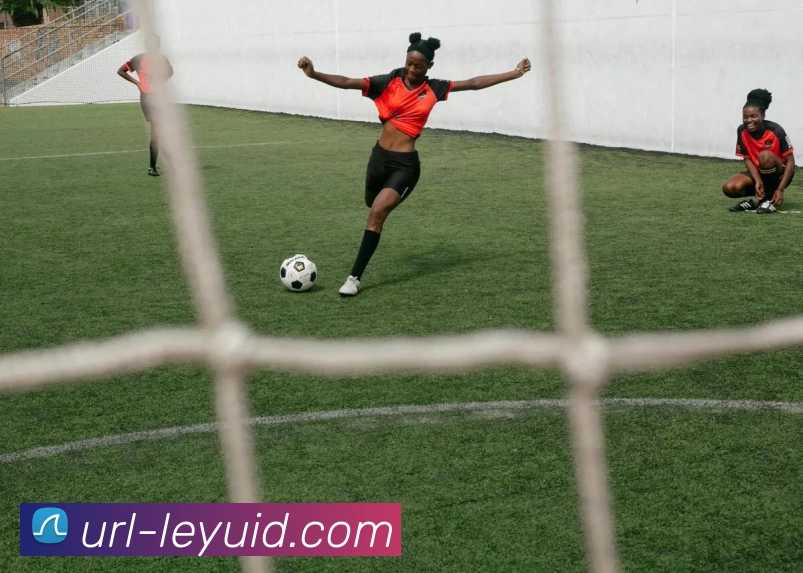 乐鱼体育APP 封面图